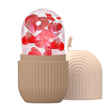 Facial Beauty Ice Roller And Gua Sha Set Eye And Face Massager Skin
