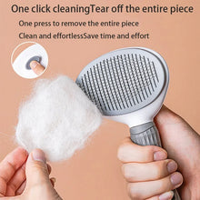 Pet Dog Hair Brush Cat Comb Hair Remover for Dogs Cats Puppy Kitten