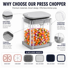 Vegetable Manual Onion Chopper Dicer Food Press Cutter Potato French