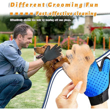 Pet Grooming Kit for Dog Cat Rabbit Fur 2 Sided Brush Bath Cleaning