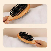 Pet Grooming Brush Double-sided Comb Stainless Steel Needle Bristles