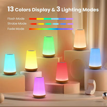 13 Color Changing Night Light Remote Control Touch USB Rechargeable RGB