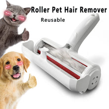 Pet Hair Remover Reusable Roller Cat and Dog Hair for Furniture Couch