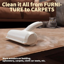 Pet Hair Remover Reusable Roller Cat and Dog Hair for Furniture Couch